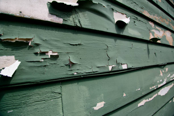 Best Same-Day Junk Removal Services  in Kenmore, NY